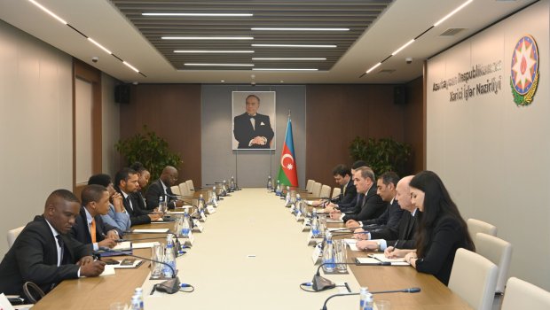 Azərbaycan və CAR arasında siyasi məsləhətləşmələr keçirilib - FOTO 