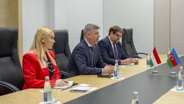 Azərbaycanda dənizdə küləkdən alınan elektrik enerjisi Avropaya ixrac olunacaq - RƏSMİ 