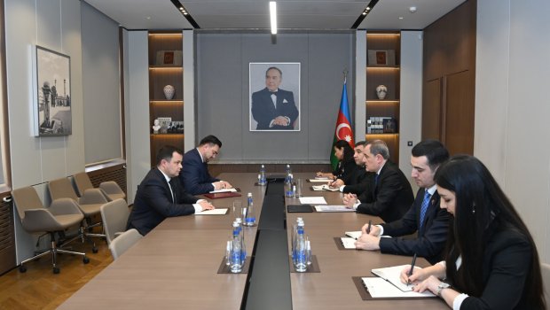 Nazir Moldovanın yeni səfirini qəbul edib - FOTO 