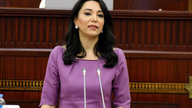 Ombudsman Fransa Senatının qətnaməsini pislədi: “Yeni münaqişə ocağı yaradırlar”