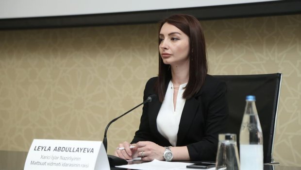 Leyla Abdullayeva etimadnaməsini Fransa XİN-inə təqdim etdi