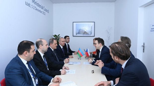 Ceyhun Bayramov çexiyalı həmkarına bölgədəki sülhlə bağlı MƏLUMAT VERDİ