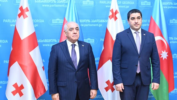 Əli Əsədov Gürcüstan parlamentinin sədri ilə görüşüb - FOTO
