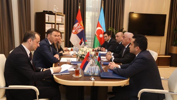Azərbaycan Serbiyada elektrik stansiyasının tikintisində iştirak edəcək - FOTO