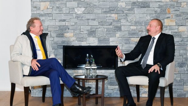 Prezident Davosda daha bir şirkətin sədri ilə görüşdü - FOTO 