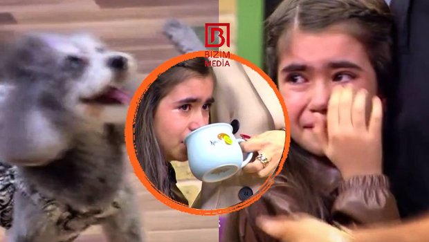 Sərxanın iti canlı efirdə Zaurun qızına qorxu dolu anlar yaşatdı - VİDEO