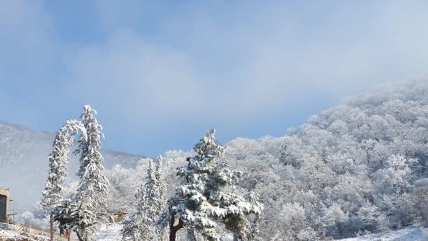 Müdafiə Nazirliyindən Kəlbəcər və Laçınla bağlı vacib xəbər - VİDEO
