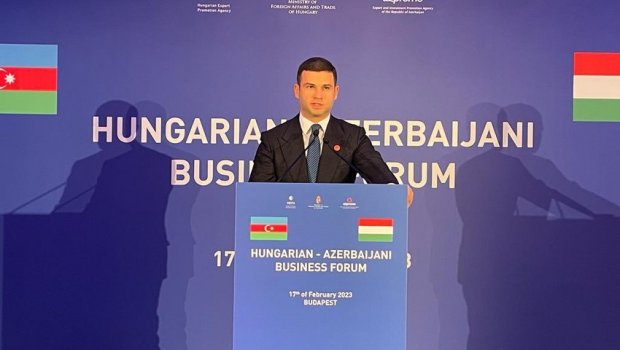 Budapeştdə Macarıstan-Azərbaycan Biznes Forumu keçirildi – FOTO 