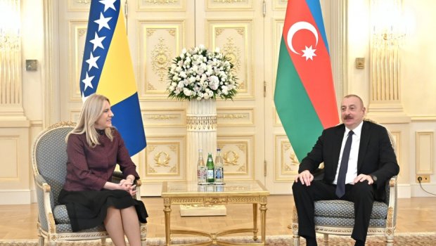 Prezident Bosniya və Herseqovinanın Rəyasət Heyətinin Sədri ilə görüşdü - VİDEO
