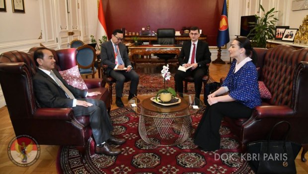 Leyla Abdullayeva Fransada indoneziyalı səfirlə GÖRÜŞDÜ - FOTO 