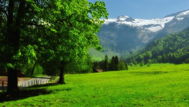 Təbiət şəhərləri sürətlə tərk etməyə məcbur edəcək – Mütəxəssisdən XƏBƏRDARLIQ