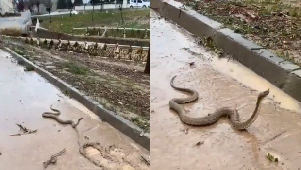 Türkiyə daha bir kabusla ÜZ-ÜZƏ - VİDEO  