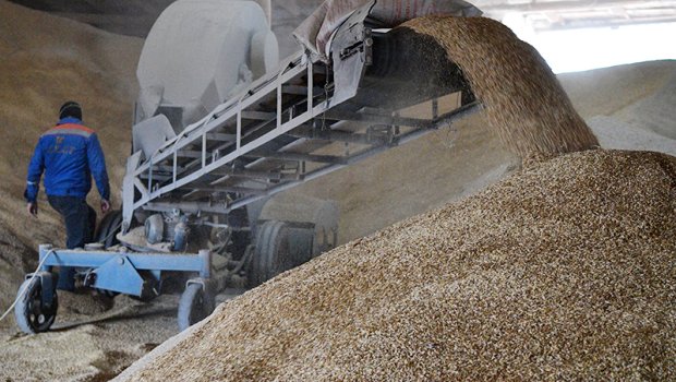 “Taxıl sazişi”nin müddəti UZADILDI 