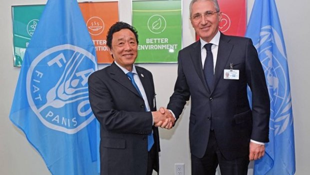 Nyu-Yorkda Azərbaycanla FAO arasında meşələrin mühafizəsi müzakirə olundu