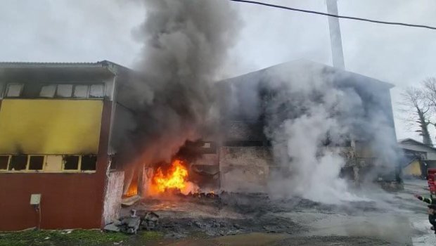 Çay fabrikində güclü YANĞIN olub – FOTO 