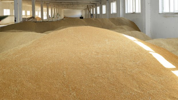 Ukraynanın taxıl yüklü daha üç gəmisi Odessa limanlarından yola düşüb