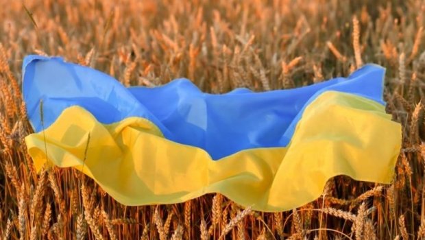 Ukrayna Polşaya taxıl tədarük etməyəcək, AMMA... 
