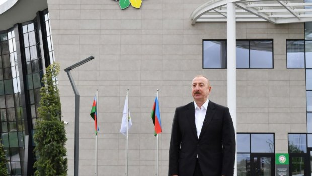 İlham Əliyev İrəvanda qələbə qazanan Cansu və Qəmzədən DANIŞDI - VİDEO