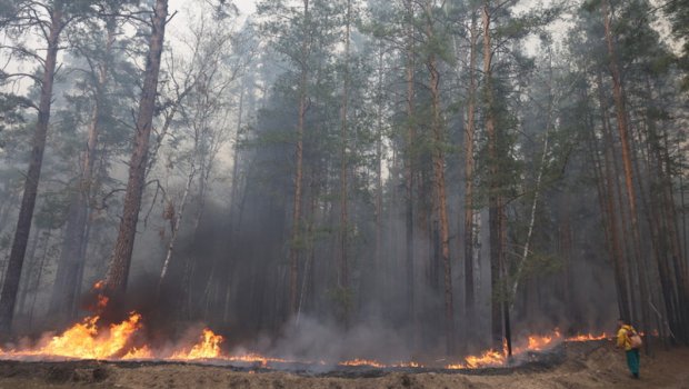 Rusiyada meşə yanğınlarında ölənlərin sayı 21 nəfərə ÇATDI 