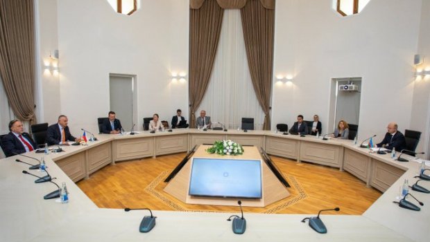 Çexiya şirkətləri Qarabağda günəş və külək enerjisi qurğuları istehsal edə bilər