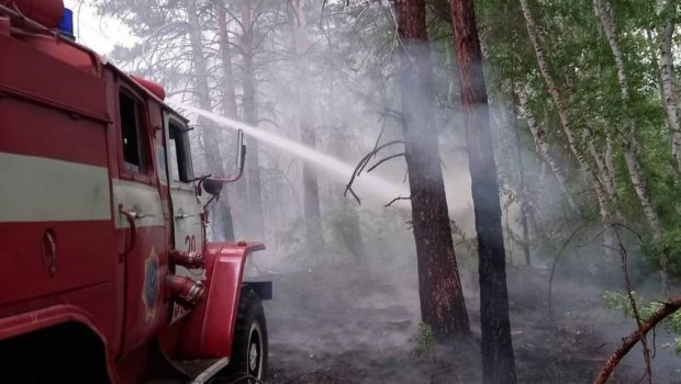 Qazaxıstanda hazırda yanğınla bağlı vəziyyət necədir? - Rəsmi açıqlama