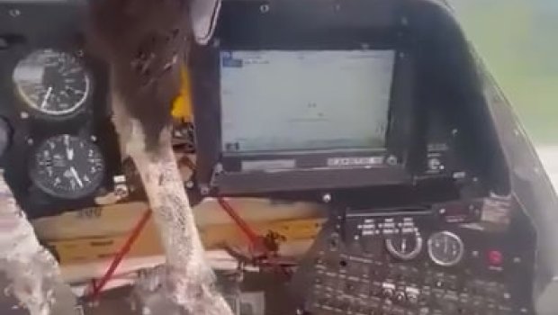 Ekvadorda yırtıcı quş uçuş icra edən pilotlara HÜCUM EDİB - VİDEO 