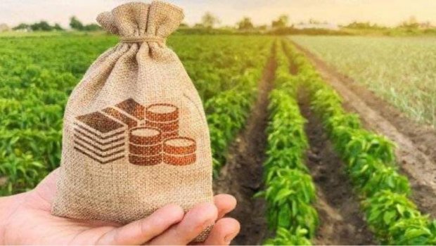 Fermerlərin kreditlərə əlçatanlığı niyə təmin olunmur? – ARAŞDIRMA 