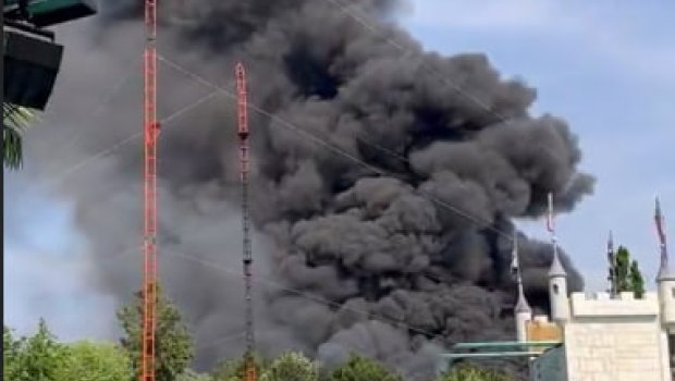 Almaniyanın ən böyük parkında yanğın başlayıb - VİDEO  