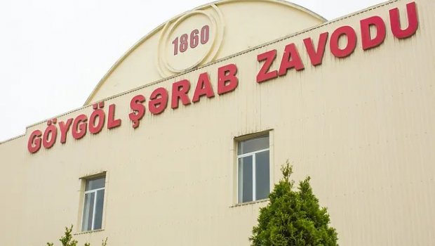 “Göygöl Şərab Zavodu” iflasa doğru gedir – İllik zərər 790 min manata ÇATDI – HESABAT