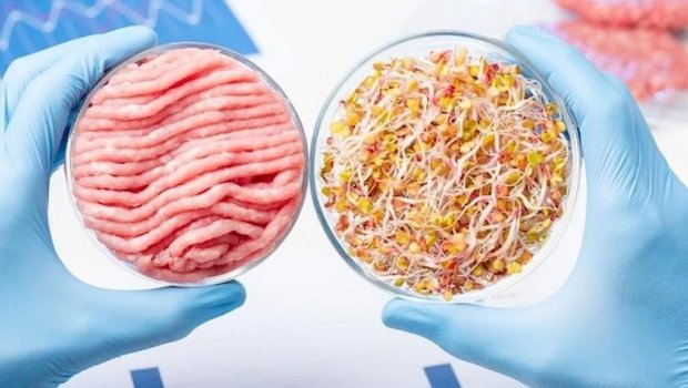 Daha bir ölkədə süni ətin satışına icazə VERİLDİ 