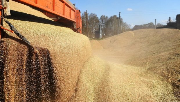 Türkiyənin və Ukraynanın müdafiə nazirləri taxıl sazişi ilə bağlı son vəziyyəti MÜZAKİRƏ EDİBLƏR