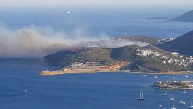 Türkiyədə meşə yanğınları BAŞLAYIB - FOTO/VİDEO 