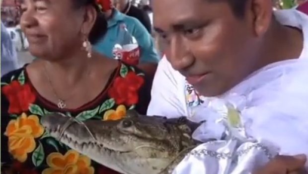 Meksikada şəhər meri timsahla evləndi - VİDEO