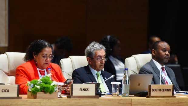 Bakıda Qoşulmama Hərəkatının tədbiri davam edir - FOTO