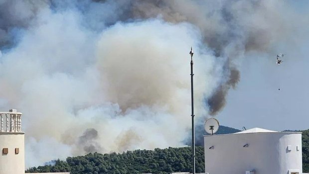 Bodrum yaxınlığında meşə yanğını BAŞLADI - FOTO