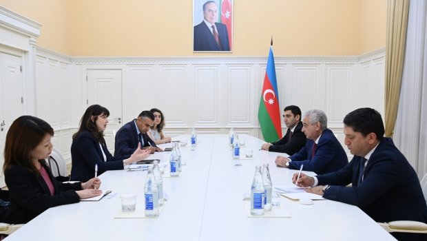 Azərbaycanla BMT arasında tərəfdaşlığın perspektivləri müzakirə EDİLDİ - FOTO