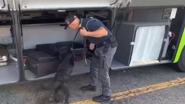 Florensiyada it avtobusdan 1 milyon avro pul tapdı - VİDEO 