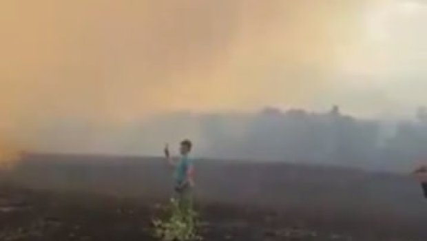 İranın İraqla sərhədində meşə yanır - VİDEO