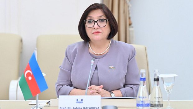 Sahibə Qafarova belçikalı nazirlə görüşdə ölkəsinin Azərbaycanla bağlı 5 qətnaməsini TƏNQİD EDİB 