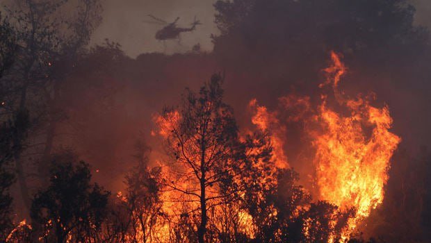 Meşələri qəsdən yandıran 2 kişi saxlanıldı