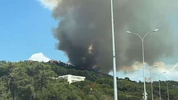 İstanbulda meşə yanğınlarının alovları evlərə yaxınlaşır - FOTO