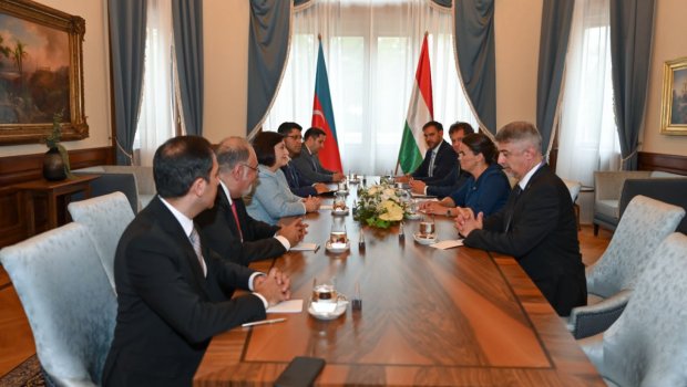 Sahibə Qafarova Macarıstan Prezidenti ilə görüşüb