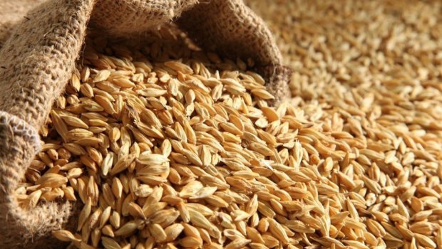 Macarıstan Ukrayna taxılının idxalına qarşı çıxdı 