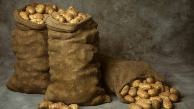 Vladivostokda iki gənc oğlan çürük kartofun iyindən öldü