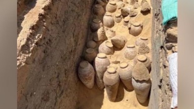 Misirdə 5 min il yaşı olan şərab tapıldı
