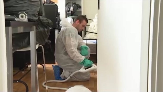 Parisi böcəklər BASDI – VİDEO  