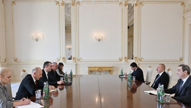 İlham Əliyev Serbiya Milli Assambleyasının sədrini QƏBUL ETDİ - VİDEO