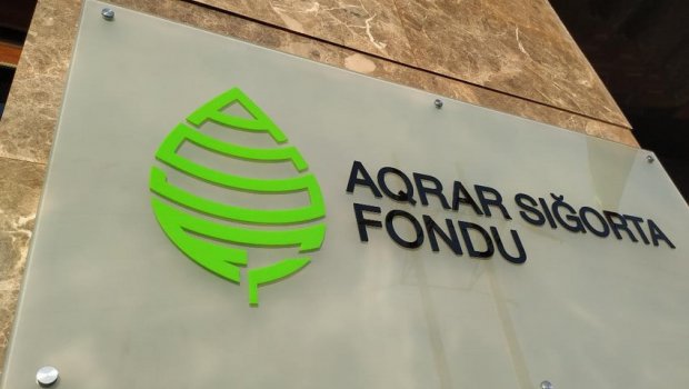 Fermer və təsərrüfatlara dəymiş zərərə görə ödənişlərə BAŞLANILDI  