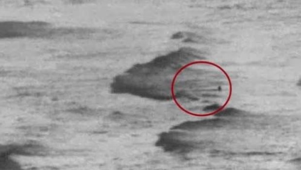 HƏMAS-ın daha bir komandiri ÖLDÜRÜLDÜ 