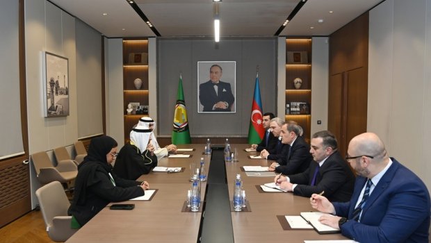 Körfəz Əməkdaşlıq Şurası ilə münasibətlərin inkişaf perspektivləri MÜZAKİRƏ EDİLİB - FOTO